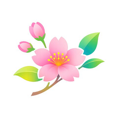 Naklejka premium PNG Delicate pink cherry blossom illustration.