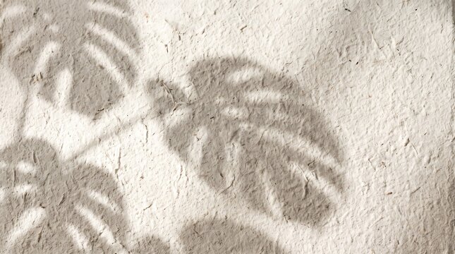 Close up of a textured beige paper surface with the distinct shadow of monstera leaves cast across it in a natural light setting