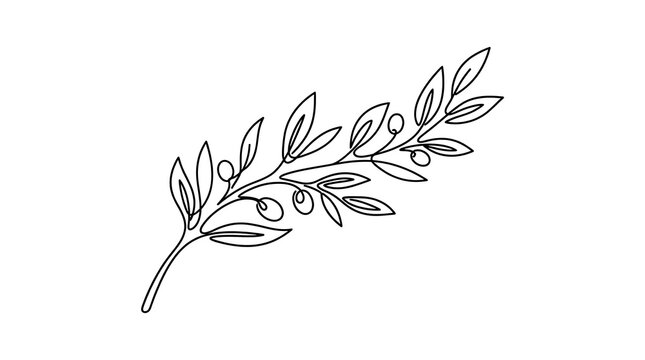 Minimalist Continuous Line Drawing of an Olive Branch with Olives