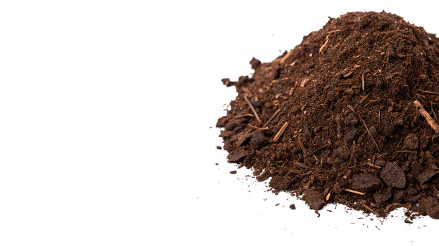 Heap of rich dark organic soil or compost isolated on transparent background
