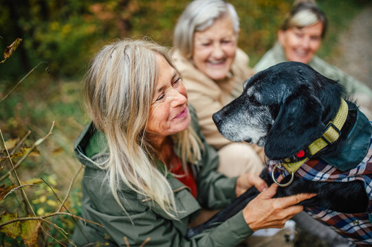 Happy senior women with dog on nature walk during rainy autumn day.
