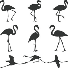 Naklejka premium Flamingo Silhouette Elements Set, flamingo birds svg, large pack of vector silhouette design, flying birds isolated white background