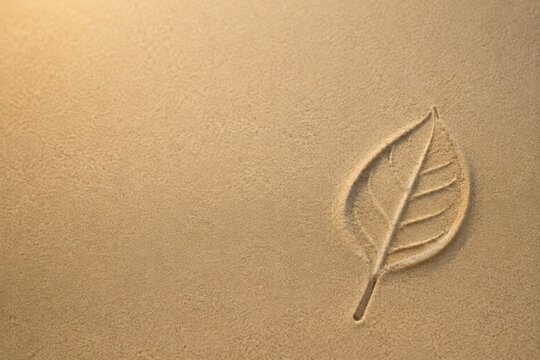 A leaf imprint is delicately pressed into smooth, golden sand, highlighting nature's subtle beauty and texture.