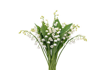 Fototapeta premium A bunch of white lily of the valley flowers with green leaves, isolated against a solid black background, featuring small hanging bell blossoms