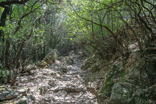 Corse France Gorges Spelunca Landscape Nature Wild westcoast