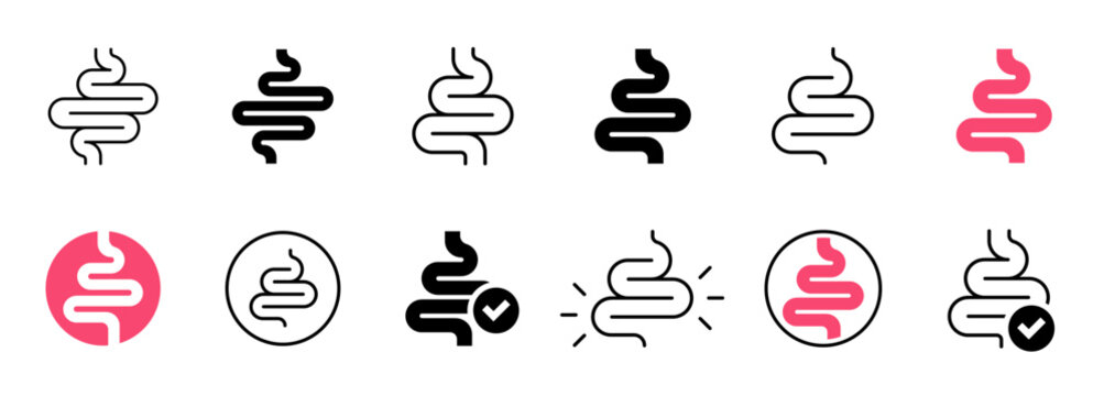 Intestine and digestive tract icon set. Healthy digestion, gut microbiome, gastroenterology and internal organ outline solid vector symbols.