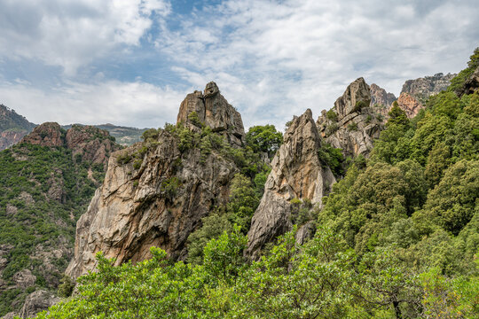 Corse France Gorges Spelunca Landscape Nature Wild westcoast