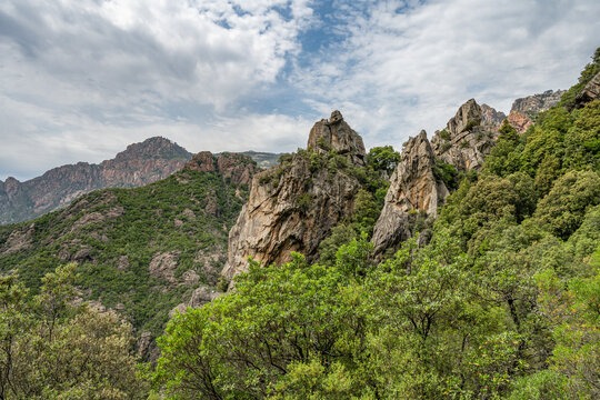 Corse France Gorges Spelunca Landscape Nature Wild westcoast