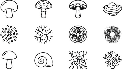 Obraz premium Mushroom varieties and mycology elements outline icons set featuring fungi species spores mycelium cells and forest biology