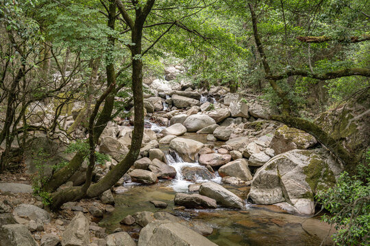 Corse France Gorges Spelunca Landscape Nature Wild westcoast