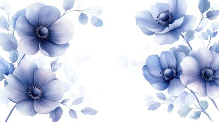 Obraz premium cute watercolor anemone flowers with soft leaves, white background