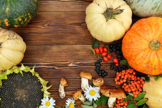Autumn harvest. vegetable harvest - pumpkins, sunflower, mushrooms, berries on rustic wooden background. symbol of fall season, Thanksgiving day, Mabon. template for design. copy space. flat lay