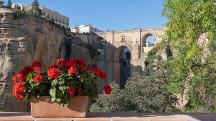 Obraz premium Una maceta con hermosas flores rojas de geranio con vistas al monumental puente de piedra de Ronda, España