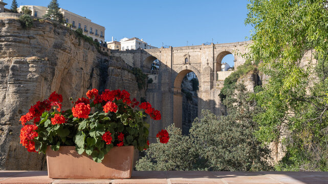 Una maceta con hermosas flores rojas de geranio con vistas al monumental puente de piedra de Ronda, Espa&ntilde;a