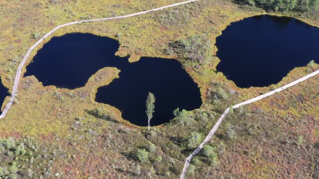 Soomaa National Park (Estonian: Soomaa rahvuspark) is a national park in south-western Estonia. Soomaa National Park is a Wilderness Capital of Estonia. Soomaa translates as Land of Mires.