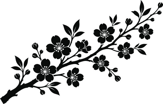 Cherry Blossom Sakura Branch Floral Vector Silhouette Illustration