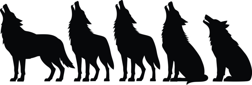 Wild wolf silhouette collection featuring five howling and standing animals for nature wildlife and outdoor themed designs