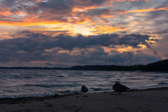 Beautiful dramatic sunset over a wavy lake with wild ducks on the sandy shore.