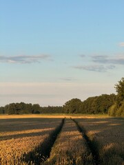 Naklejka premium beautiful sunset in the countryside with mist, melancholic twilights, rural atmosphere