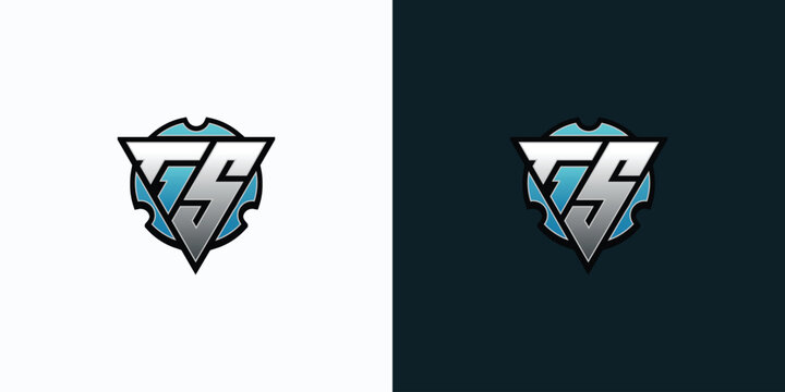 Modern TS Monogram Logo Design.