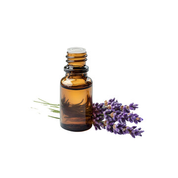 A bottle of essential oil with lavender flower