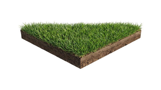 Green grass patch on soil cross section, square piece of lawn with dirt layer, isolated sod block for landscaping and gardening