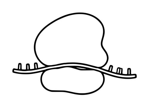 Ribosome structure vector icon illustration showing the large and small subunits translating a messenger RNA strand, perfect for biology education, molecular science research, and genomic studies.