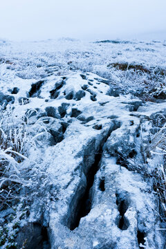 Frozen landscape with frost-covered rocks and sparse vegetation