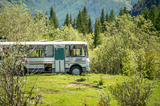 White PAZ-3205 minibus from the 1990s set against a backdrop of coniferous forest in the Altai region; a classic Russian midibus in a natural landscape, Altai Republic, Siberia, Russia 28.05.2025