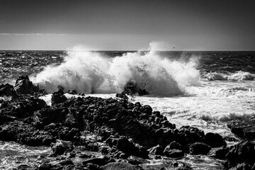 Fototapeta premium Black and white wave crashing over a rocky shore