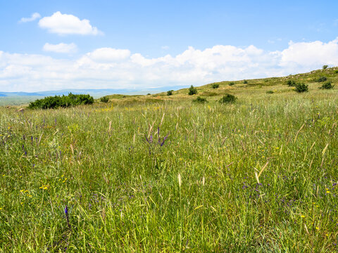 green grass at foot of Mount Aragats in summer