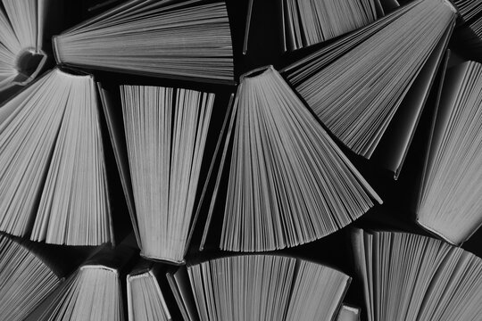 Lots of books. Educational theme. Learning concept