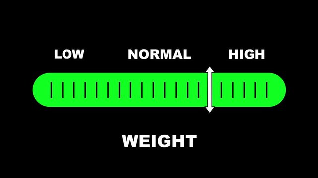 Weight level indicator scale. Low normal & high meter infographic animation on black background. Showing high weight level color gauge indicator for body weight and health monitoring.