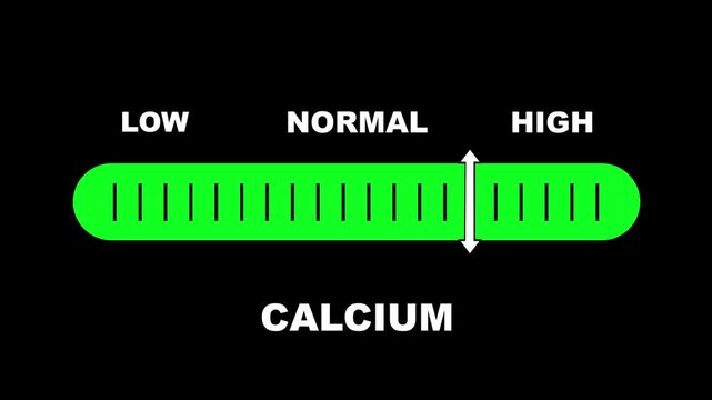 Calcium level indicator scale. Low normal & high meter infographic animation on black background. Showing high calcium level color gauge indicator for nutrition and bone health monitoring