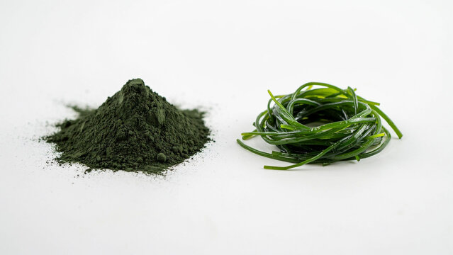 Pile of green spirulina powder and fresh seaweed strands on white background.