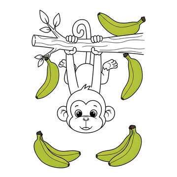 Monkey hanging upside down with bananas in a playful and colorful illustration
