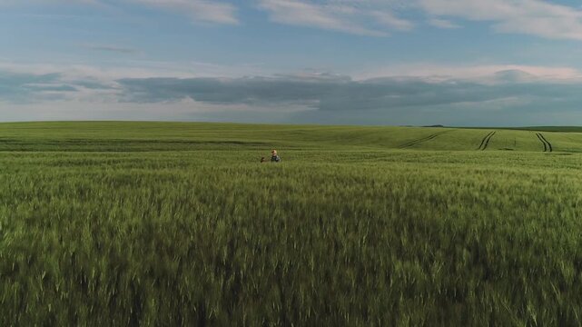 Two small figures, one wearing straw hat, stand amid tall green grain near center-right of wide rolling field while wind ripples crop tops, foreground shows blurred stalk motion and parallel tractor