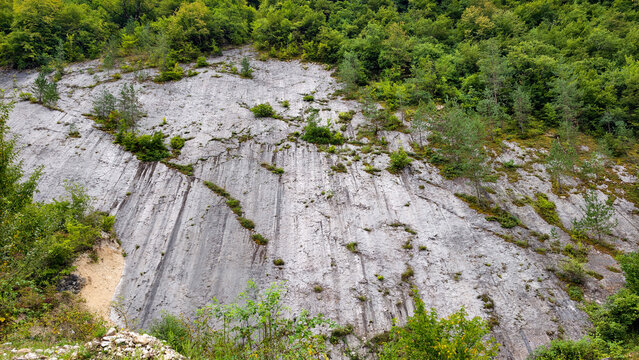 Dinosaur footprint trails preserved on a steep rock wall in the jura mountains, a rare paleontological discovery showing ancient life and geological history in switzerland