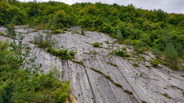 Rocky mountain slope with green forest growing on top and sparse vegetation clinging to the steep gray rock face, showcasing nature's resilience and geological formations