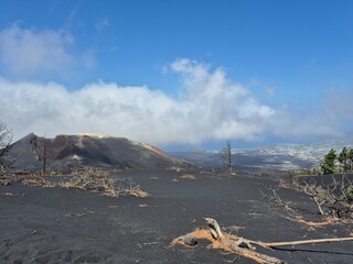 Tajogaite main volcanic cone and crater with sulfur deposits and burnt pine branches © maria