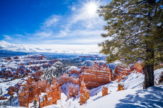 Bryce Canyon National Park in Winter season, Utah, USA