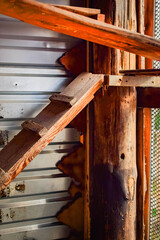 Wooden bird coop interior with rustic log support, climbing ramp and corrugated metal walls © Vasilisa Dorofeeva