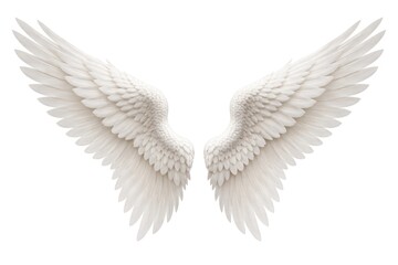 Naklejka premium Elegant white angel wings illustration.