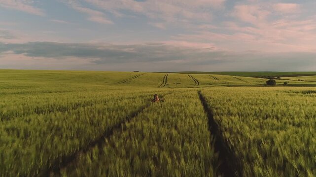 Small human figure walks along parallel tractor tracks through tall wheat toward distant horizon, arms relaxed at sides and shallow disturbed path with slightly bent stalks indicating forward