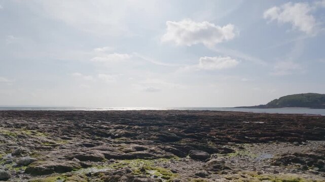 Rocky coastline at low tide on Hannafore Beach, Looe, Cornwall, with Looe Island visible in the distance under a bright, sunny sky with scattered clouds.