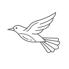 Fototapeta premium Outline of a bird in flight