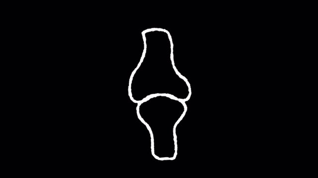 Minimalist White Outline Animation of Human Knee Joint Movement.