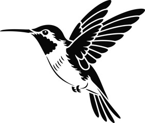 Fototapeta premium Black and white hummingbird in flight flying wings