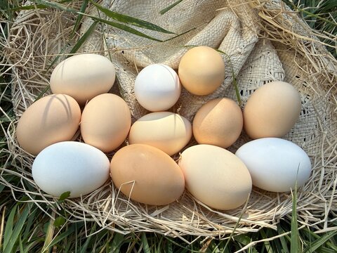 Eggs dozen free range country chicken eggs.