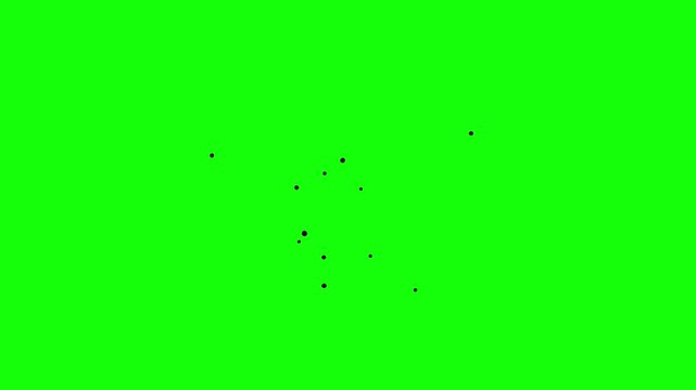 Black drops bees or flies insects moving on greenbox. Green screen element seamless loop speed moving doodle preset good to add to any background.
